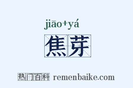 焦芽是什么意思的图片